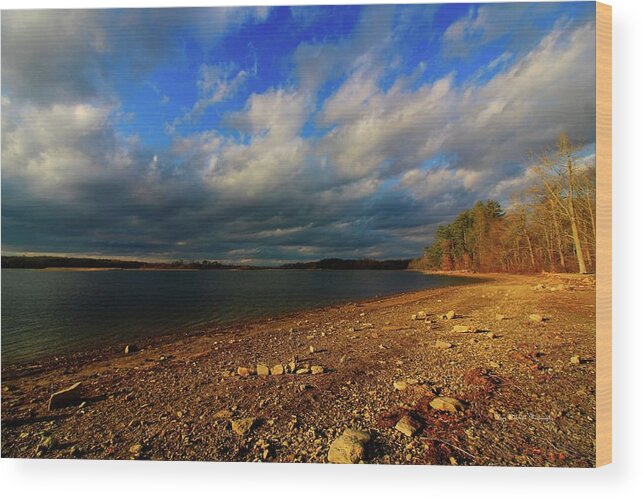Landscape Wood Print featuring the photograph Sunny Shore by Mary Walchuck