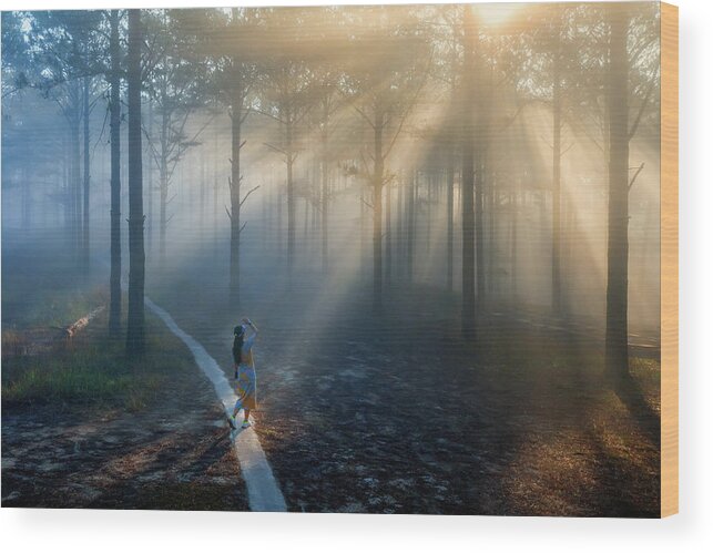 Awesome Wood Print featuring the photograph Sunrays in the pine forest by Khanh Bui Phu