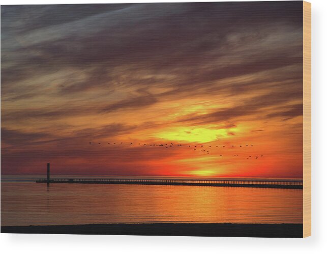 Sunrise Wood Print featuring the photograph Sunrise and Geese at Charlotte Pier by Flinn Hackett