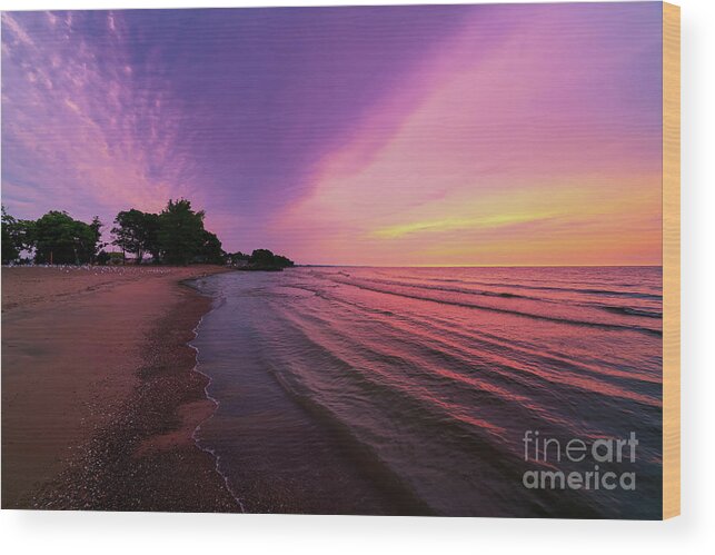 Sunrise Cedar Island Wood Print featuring the photograph Sunrise Cedar Island by Rachel Cohen