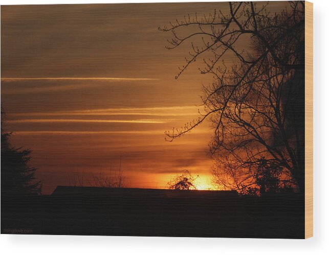Golden Wood Print featuring the photograph Sunrise Gilds the Sky December 27 2020 by Miriam A Kilmer