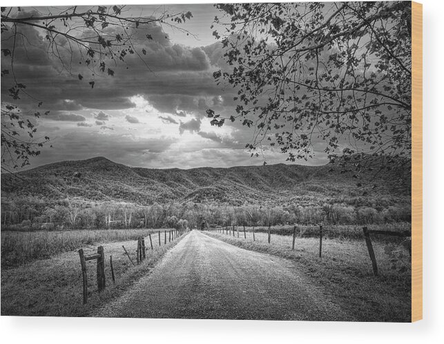 Cades Wood Print featuring the photograph Sunrise over Sparks Lane Black and White by Debra and Dave Vanderlaan