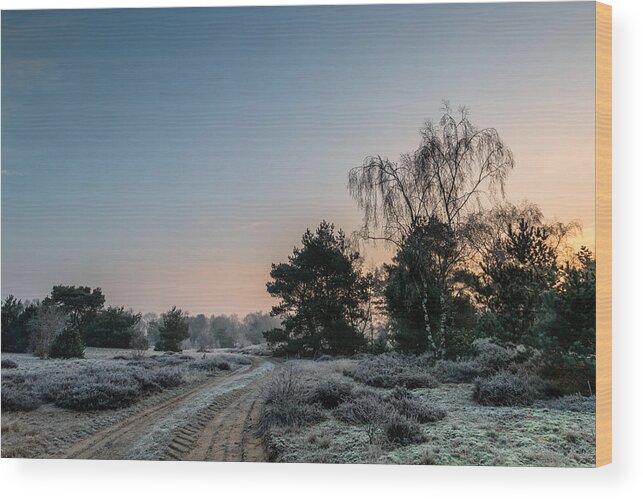 Scenics Wood Print featuring the photograph Sunrise Winter Path by William Mevissen