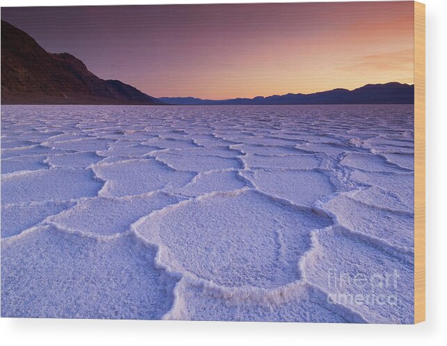 Death Valley National Park Wood Print featuring the photograph Sunset at Badwater Basin salt pans, Death Valley, California, USA by Neale And Judith Clark