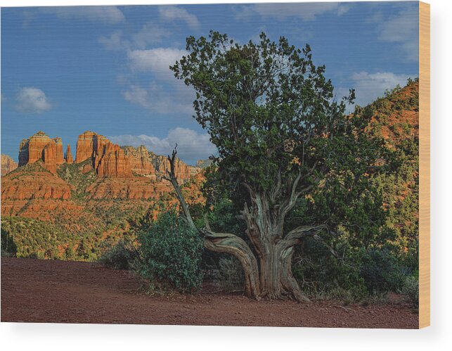 Sedona Wood Print featuring the photograph Sunset at Lover's Knoll by Al Judge