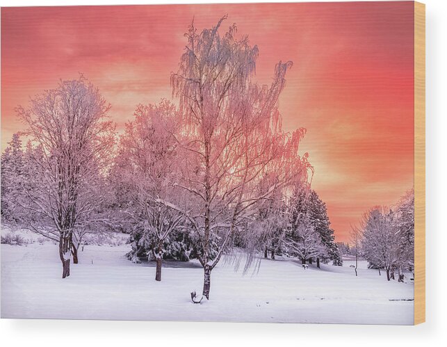 Sunset At Sunnyside Wood Print featuring the photograph Sunset at Sunnyside by David Patterson