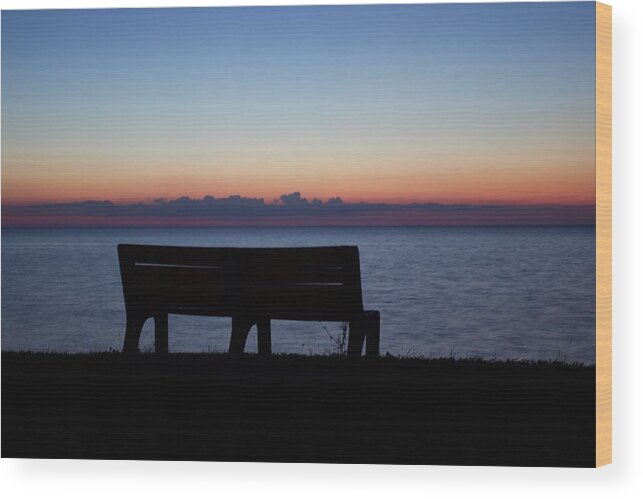 Sunset Wood Print featuring the photograph Sunset at the Park by Yvonne M Smith