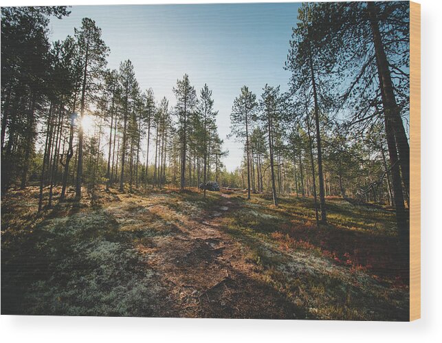 Outside Wood Print featuring the photograph Sunset in the Finnish wilderness by Vaclav Sonnek