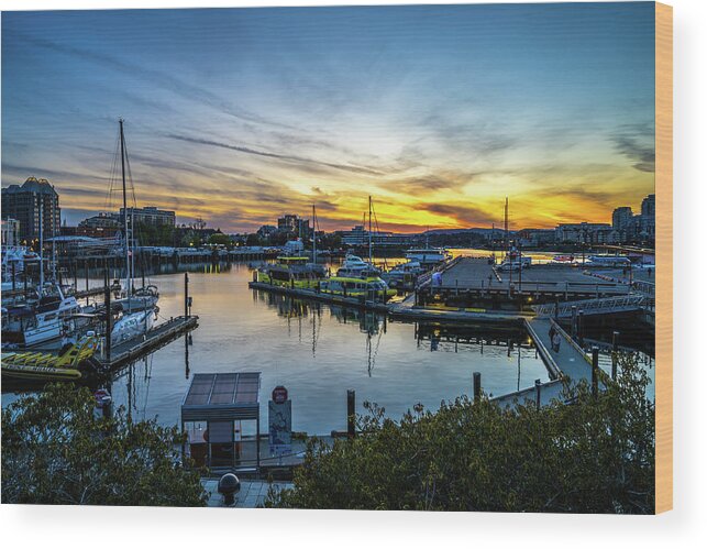 Sunset Wood Print featuring the photograph Sunset in Victoria by Bill Cubitt