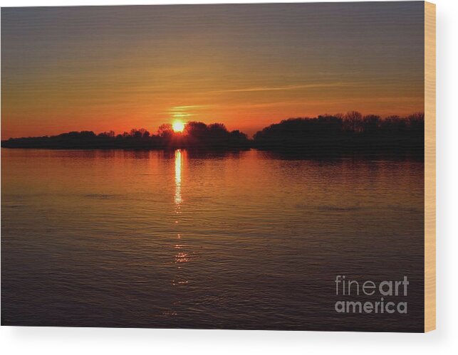 Harmony Wood Print featuring the photograph Sunset Love by Leonida Arte