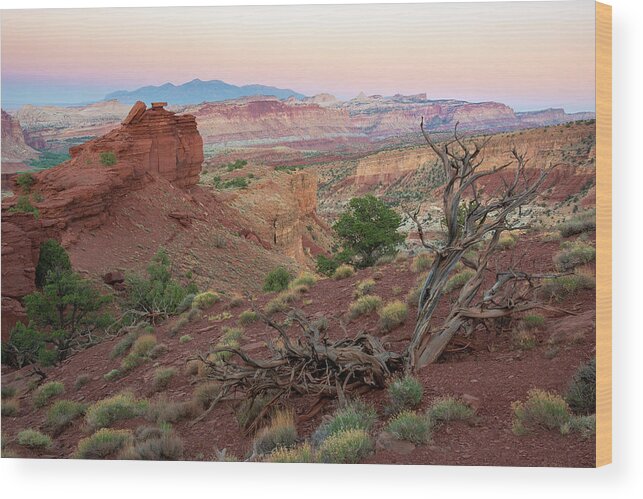 Utah Wood Print featuring the photograph Sunset on Capitol Reef by Aaron Spong