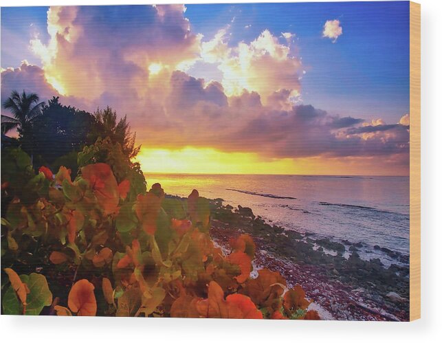 Sky Wood Print featuring the photograph Sunset on Little Cayman by Stephen Anderson