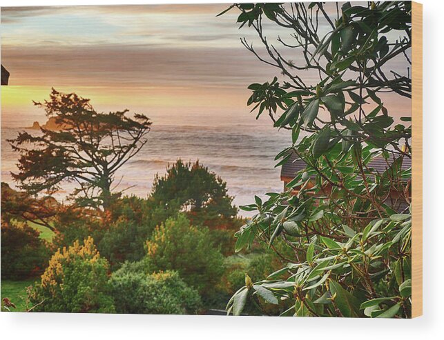 Heavy Wood Print featuring the photograph Sunset on the Pacific Ocean by Steve Estvanik