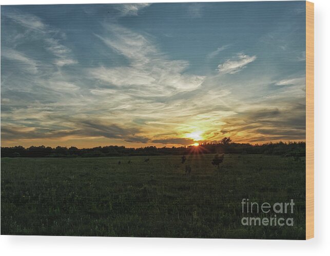 Prairie Wood Print featuring the photograph Sunset on the Prairie by Natural Focal Point Photography