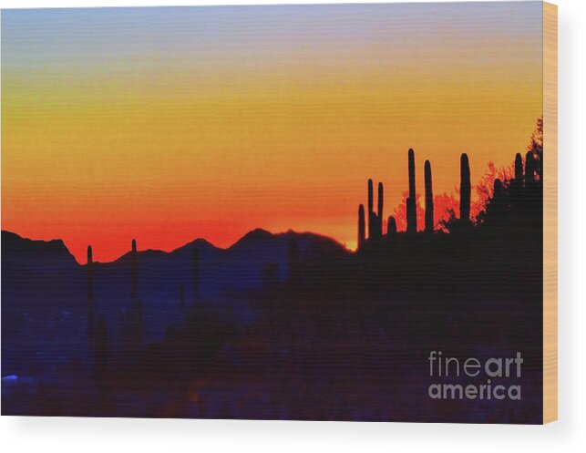 Landscape Wood Print featuring the photograph Sunset over Tucson Arizona by Diana Mary Sharpton