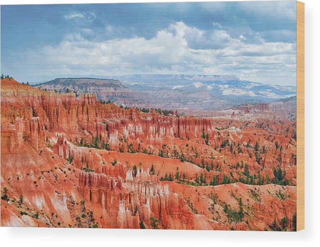 Bryce Canyon National Park Wood Print featuring the photograph Sunset Point Bryce Canyon National Park by Kyle Hanson