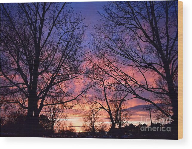 Sunset Wood Print featuring the photograph Sunset Through the Trees by Bailey Maier