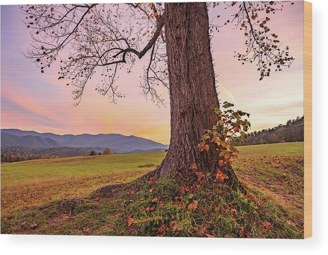 Cades Cove Wood Print featuring the photograph Sunset View in Autumn by Kelly VanDellen