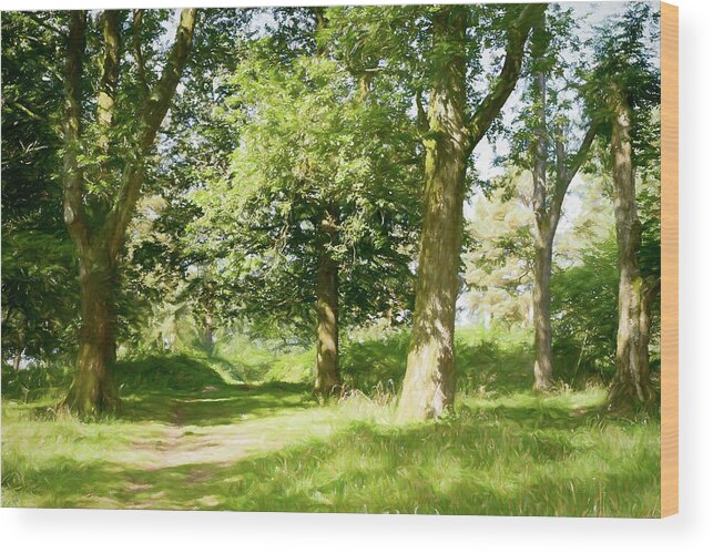 English Woodland Wood Print featuring the photograph Sunshine Through The Woods by Tanya C Smith