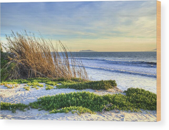 Ventura Harbor Wood Print featuring the photograph Surfers Knoll, Ventura Harbor by Wendell Ward