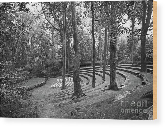 Swarthmore College Wood Print featuring the photograph Swarthmore College Scott Amphitheater by University Icons