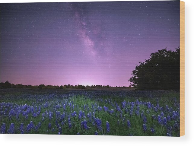 Texas Wood Print featuring the photograph Sweet Dreams Are Made of These by KC Hulsman