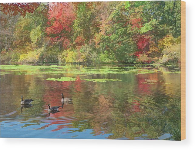 Autumn Wood Print featuring the photograph Sweet Sounds of Autumn by Sylvia Goldkranz