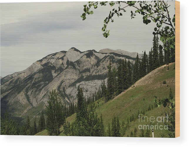Beautiful Wood Print featuring the photograph Swirly Top Mountain by Mary Mikawoz