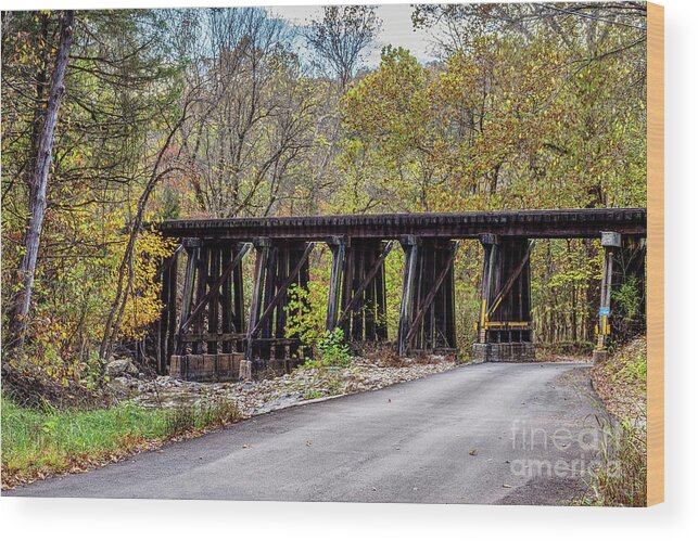 Branson Mo Wood Print featuring the photograph Sycamore Church Road Railroad Bridge by Jennifer White