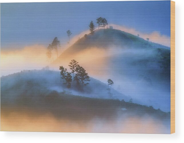 Spring Wood Print featuring the photograph Symphony Of Light And Fog by Khanh Bui Phu