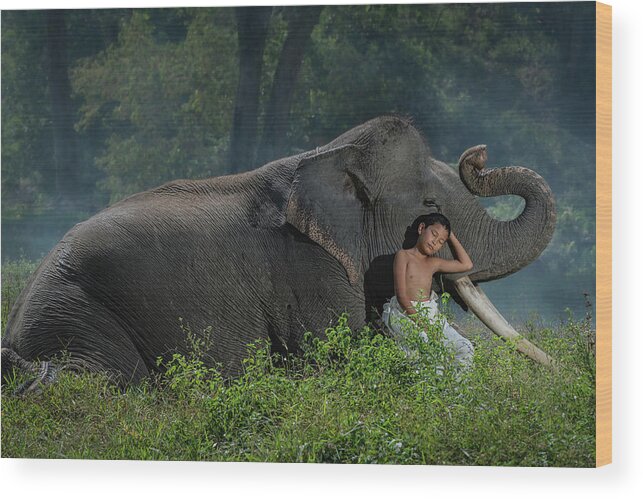 Elephant Wood Print featuring the photograph Taking a rest with my best friend. Son of a mahout with his best friend, a male asian elephant by Anges Van der Logt