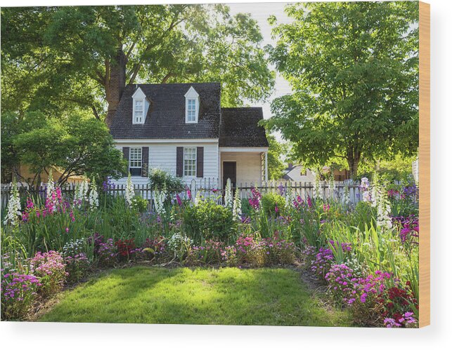 Colonial Williamsburg Wood Print featuring the photograph Taliaferro-Cole Garden in May by Rachel Morrison