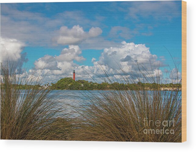 Grass Wood Print featuring the photograph Tall Grass and Lighthouse by Tom Claud