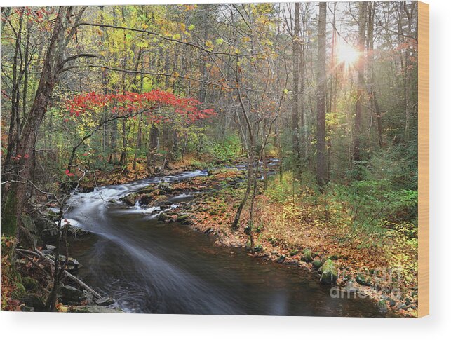 Tellico River Wood Print featuring the photograph Tellico Awakening by Rick Lipscomb
