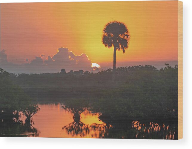 Sunrise Wood Print featuring the photograph Tequila Sunrise by Bradford Martin