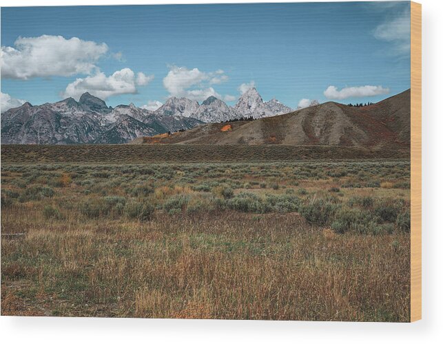 Beautiful Autumn Landscape In Grand Teton National Park Wood Print featuring the photograph Tetons Landscape Wide Angle by Dan Sproul
