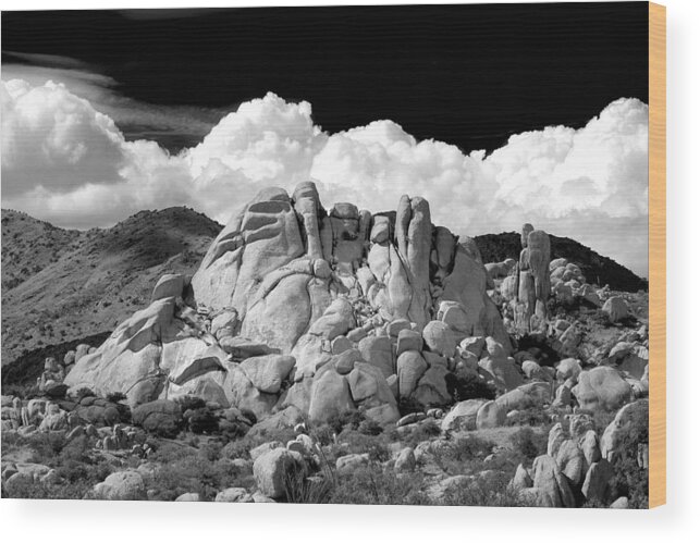 Arizona Wood Print featuring the photograph Texas Canyon Monochrome by Douglas Taylor