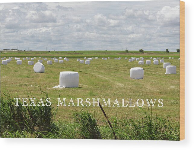 Harvest Wood Print featuring the photograph Texas Marshmallows by Steve Templeton