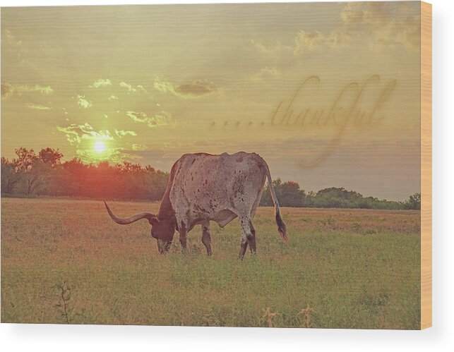 Thankful Wood Print featuring the photograph thankful with a Texas longhorn steer by Cathy Valle