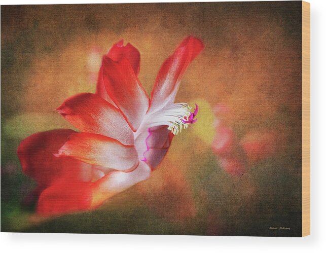 Thanksgiving Flower Wood Print featuring the photograph Thanksgiving Cactus Flower by Michael McKenney