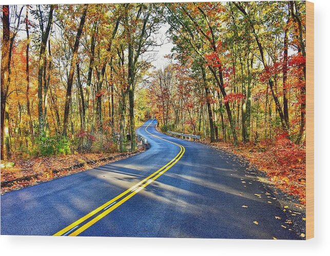 Road Wood Print featuring the photograph The Back Roads in the Fall by Monika Salvan