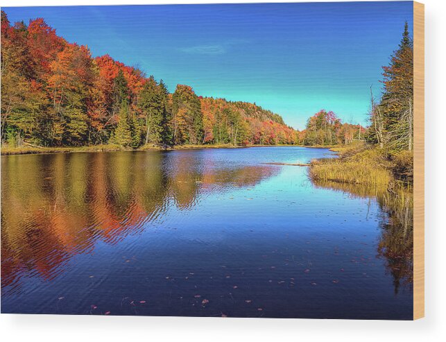 The Beauty Of Bald Mountain Pond Wood Print featuring the photograph The Beauty of Bald Mountain Pond by David Patterson