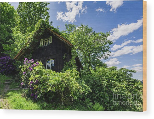 Mill Wood Print featuring the photograph The Benz Mill by Eva Lechner