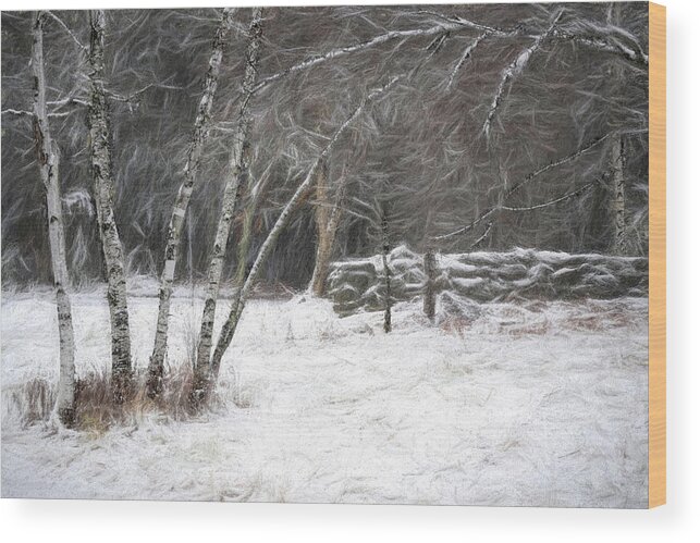 Birch Wood Print featuring the photograph The Birches of Orris Road by Wayne King