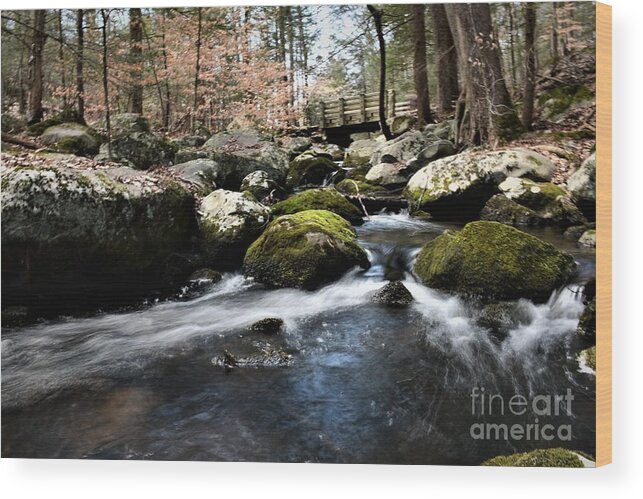 Waterfall Wood Print featuring the photograph The Bridge Beyond by Leslie M Browning