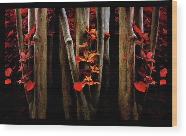 Autumn Wood Print featuring the photograph The Crimson Forest by Jessica Jenney