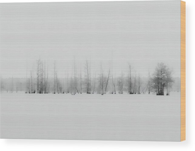 2021 Wood Print featuring the photograph The Cypress Trees of Lake Marion by Charles Hite