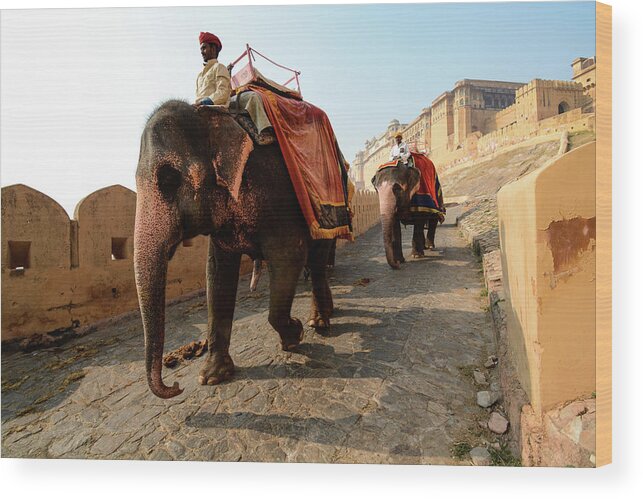 India Wood Print featuring the photograph Kingdom Come. - Amber Palace, Rajasthan, India by Earth And Spirit