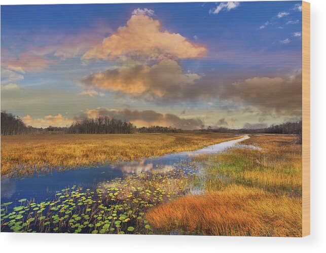 Clouds Wood Print featuring the photograph The Everglades Sunset by Debra and Dave Vanderlaan