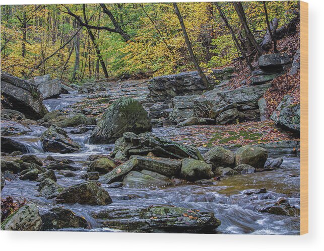 Autumn Wood Print featuring the photograph The Flow of Autumn by Brian Shoemaker